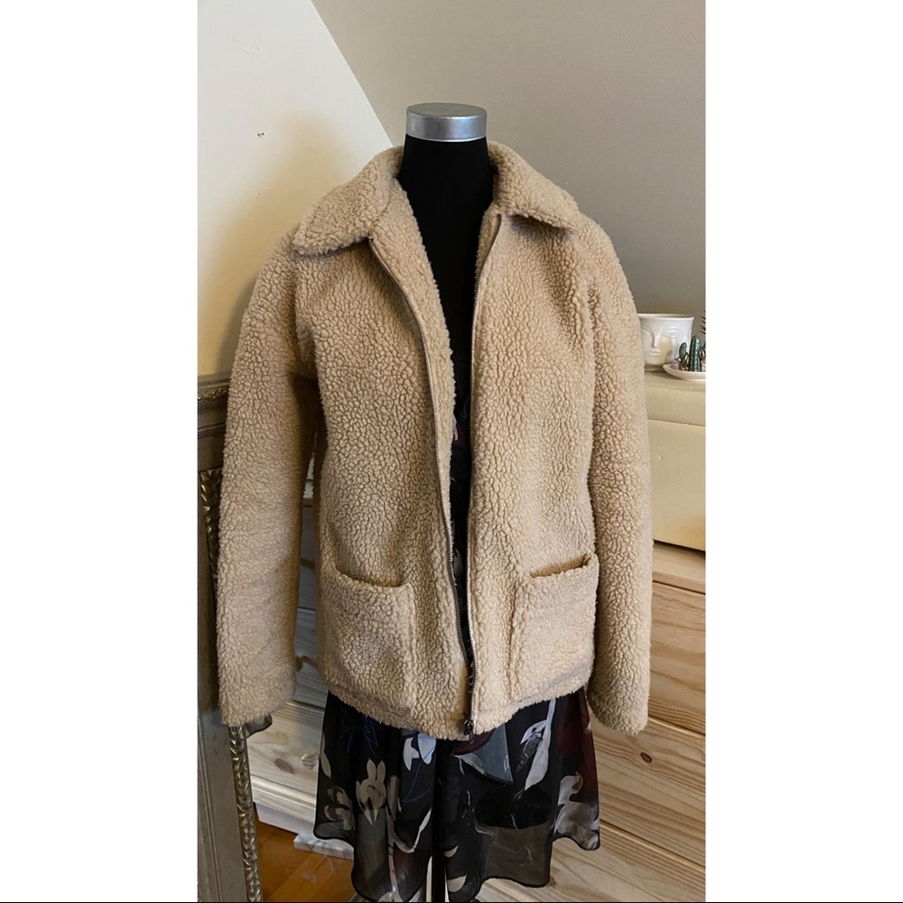 Designer lab teddy bear jacket